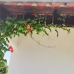 Quinta Do Retiro * Felgar