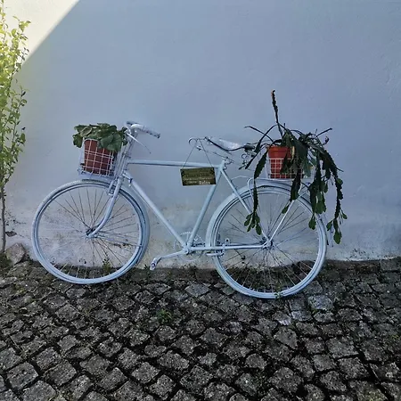 Gospodarstwo wiejskie Quinta Do Retiro *