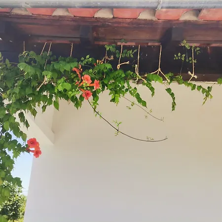 Quinta Do Retiro * Felgar