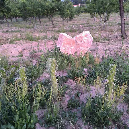 Gospodarstwo wiejskie Quinta Do Retiro