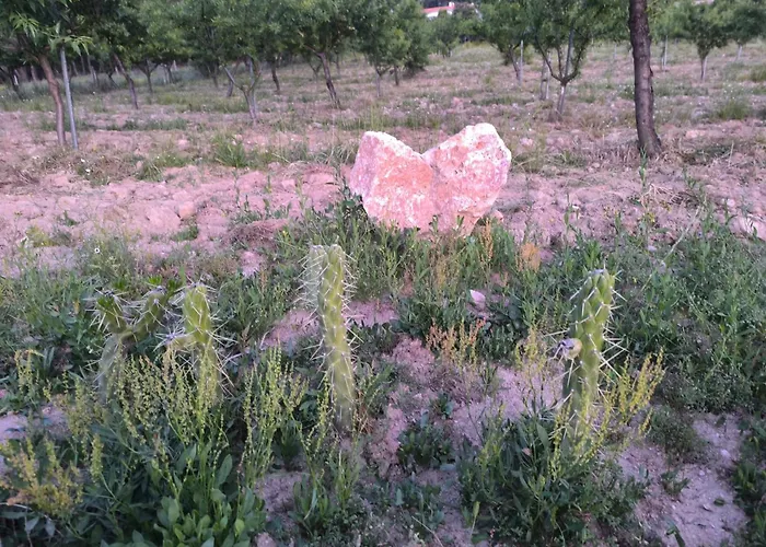 Kır Evi Quinta Do Retiro